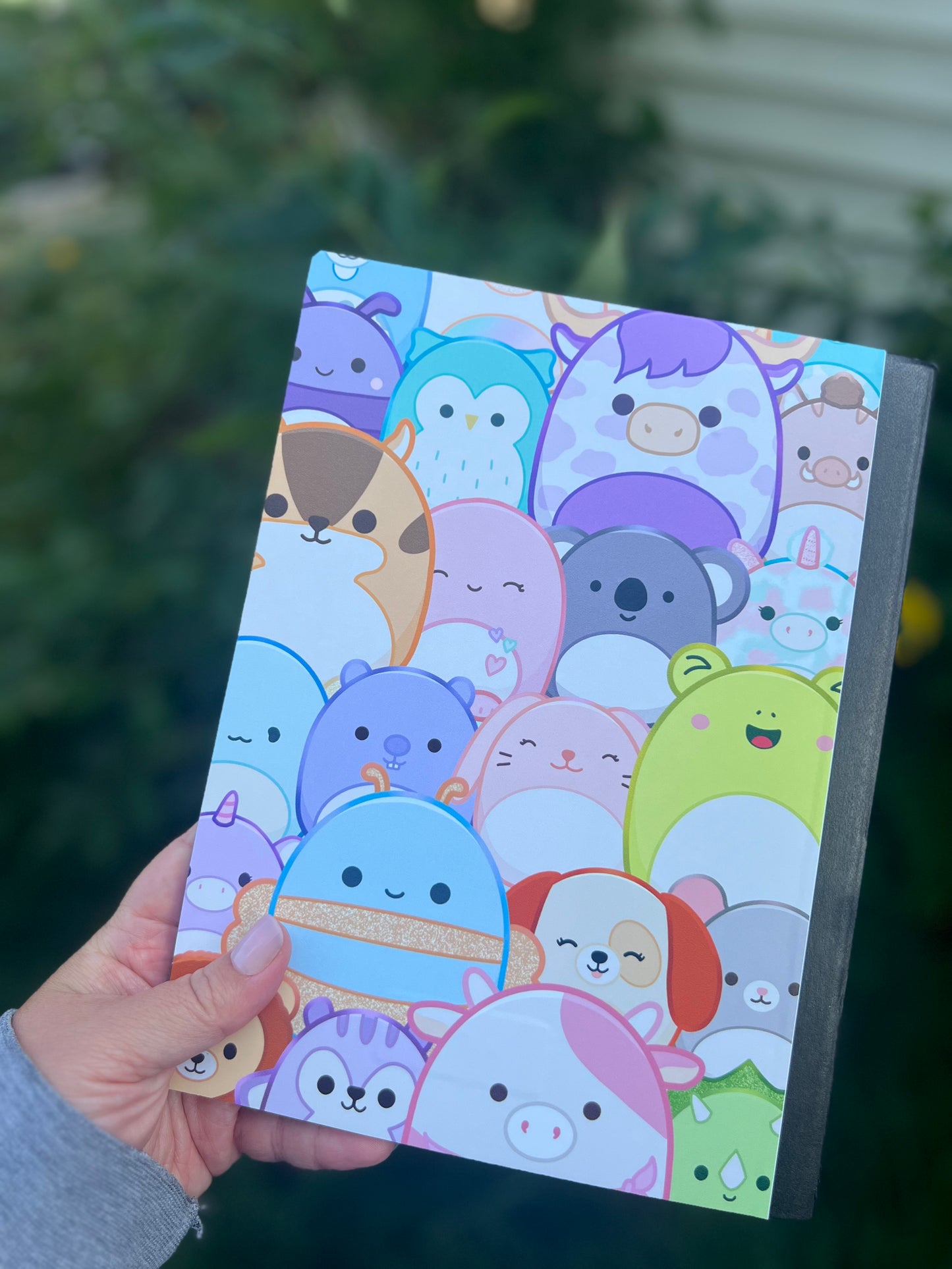Squishes
